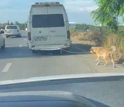 Antalya’da minibüsün arkasına bağladığı köpeği zorla götürdü