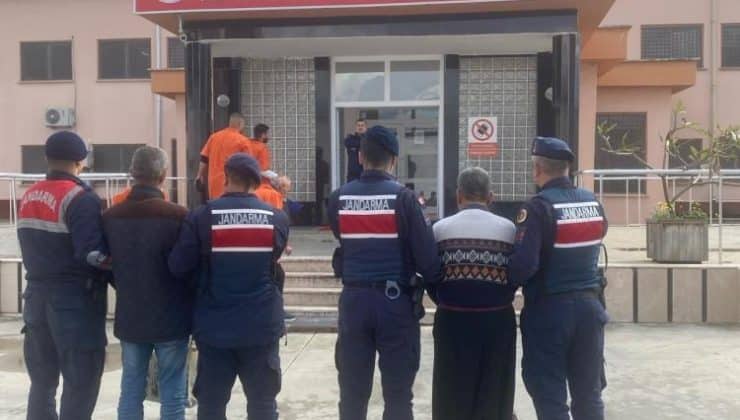 Alanya’da 15 kasa avokado çalan 2 hırsız yakalandı